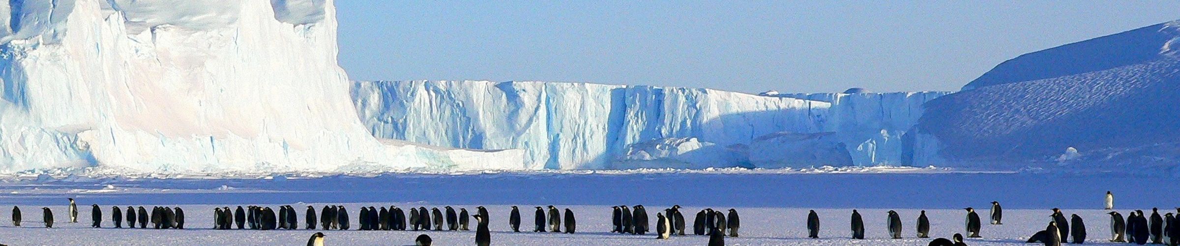 Celebrating Antarctica with the SDGs: Antarctica Day 1 December